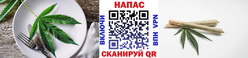 Cannafood конопля  Купить где  Кувандык 