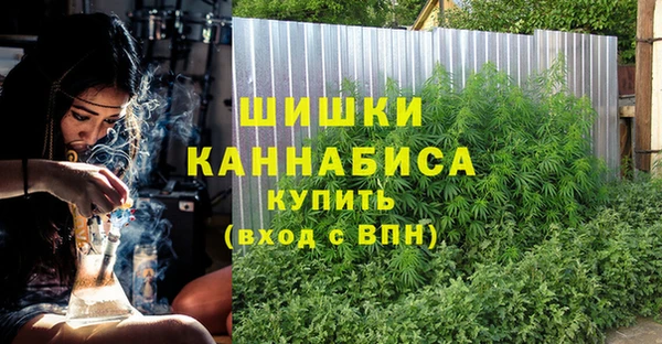 дживик Гусиноозёрск