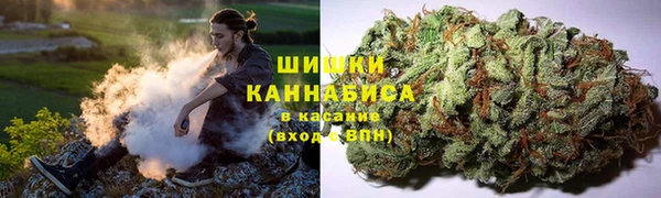 a pvp Гусь-Хрустальный