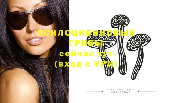 дживик Гусиноозёрск
