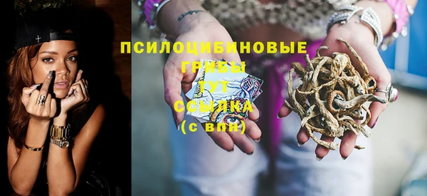 a pvp Гусь-Хрустальный
