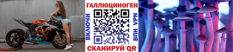 Галлюциногенные грибы мицелий  Купить закладки  Кувандык 